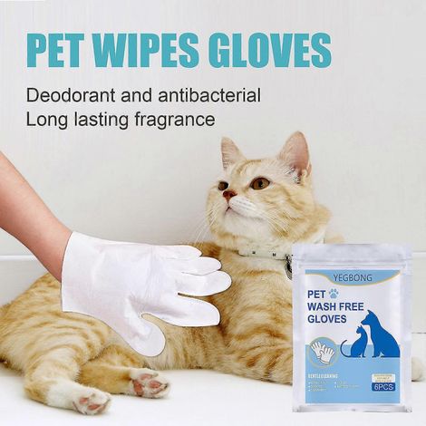 Gants jetables pour animaux (lot de 6), lingettes sans rinçage pour animaux, gants de massage nettoyants jetables pour animaux, produits de toilettage pour animaux (lot de 6) (1/5)