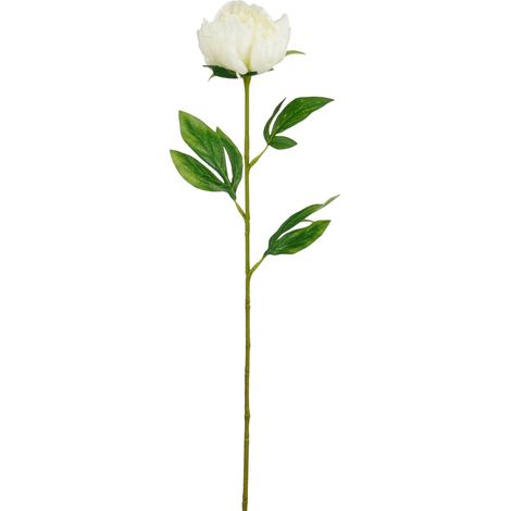 Mica Decorations Kunstpflanze Peonie weiß 60 cm Einzelne Blumen