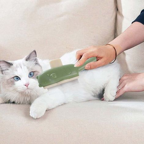 Irovami Peigne démêlant pour chat, outil de mue en un clic, brosse de massage démêlante pour animaux, vert (1/3)