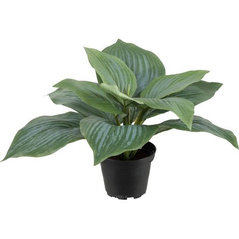 Hosta artificiel en pot H 20 cm D 30 cm Large feuille factices Vert - couleur: Vert (1/3)