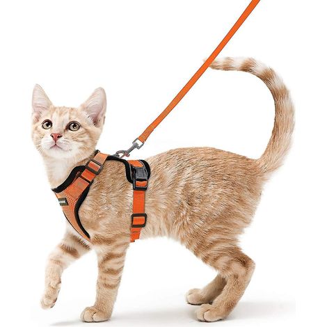 Verstellbares Katzengeschirr mit reflektierendem und atmungsaktivem Halsband für Kätzchen, Kaninchen, Europäisch Kurzhaar, Maine Coons und Perserkatzen, mit Leinenbefestigung oben – Orange