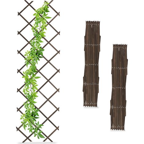 Set di tralicci estensibili per piante, confezione da 3, 180x60 cm