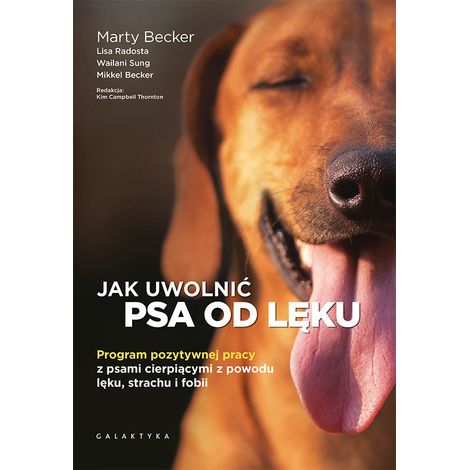 Come liberare il tuo cane dall'ansia: un programma di lavoro positivo