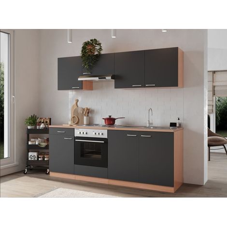 Cuisine Kitchenette bloc cuisine intégrée hêtre gris Gerda 210 cm Respekta