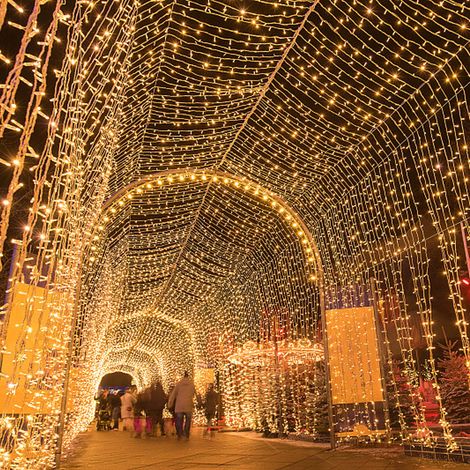 50M 400 LED Lichterketten Karneval Hochzeit Outdoor Indoor Gartenbeleuchtung (Warmweiß) (1/5)