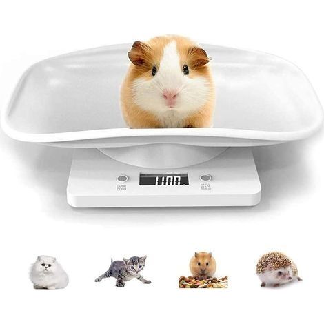 Balance Numérique pour Petit Animaux avec écran LCD, 4 Modes de Pondération,pour Animaux Chats Chiens Cochon d'Inde Hamster et La Cuisine Mesurant,Capacité Jusqu'à 10kg/22lb (1/5)