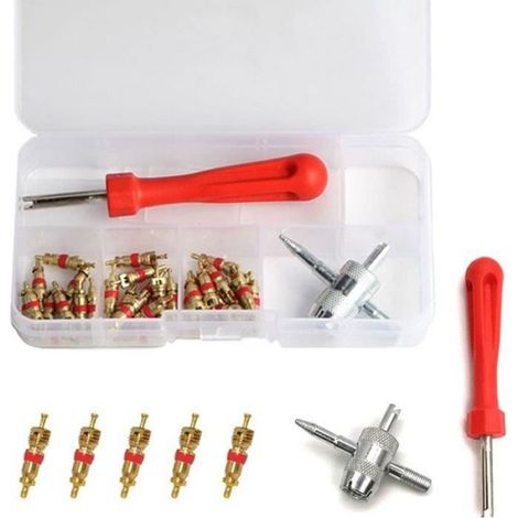 Demonte Valve Pneu Voiture Boîte,32 Pcs,Demonte Obus Valve Kit Outil de Tire Repair avec Valve Core pour Voiture Remplacement Outil (1/4)