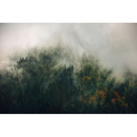 Papier peint panoramique naturel Contes des Carpates (1/4)