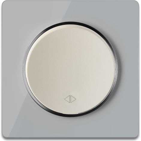 Wechselschalter einfach beige mit Glas-Abdeckrahmen grau (1/4)
