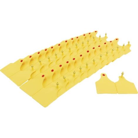 Marcador oreja tipo D 25 uds. UNIVERSAL VV20220 (1/2)