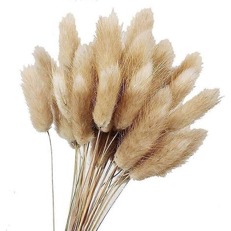 Bouquet de 50 fleurs séchées naturelles de couleur brute -- (1/5)