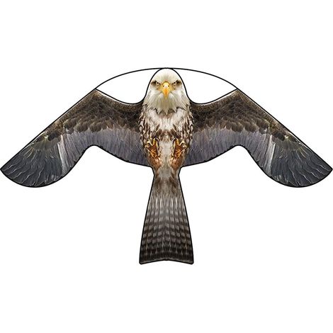 Cerf-Volant Anti-Oiseaux - Protection de la Ferme - avec Manche télescopique de 4 m (1/5)