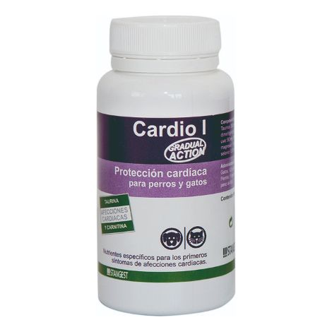 Stangest Cardio I 60CPD