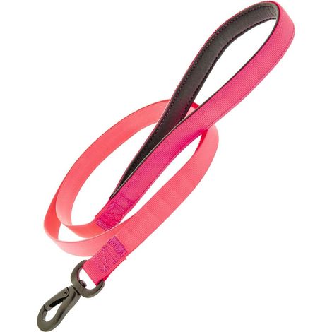 Orange - Laisse en silicone pour chien modèle Fun Flat