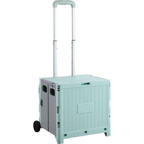 Caddie de course pliable portable avec barre de traction multifonction, chariot à provisions pour pique-nique camping, panier de rangement légumes fruits en polypropylène