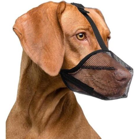(L, Noir) 1 pièce, muselière respirante pour petits, moyens et grands chiens pour empêcher les chiens de se nourrir, de mordre et de mâcher.