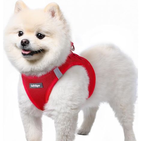 Harnais Chien Petite Taille, Léger et Respirant, Rouge, S (1/5)