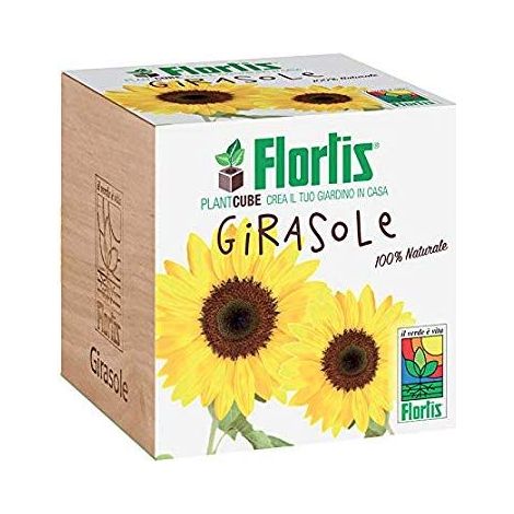 PLANTCUBE GIRASOLE 7.5X7.5X7.5 CM (1/2)