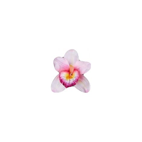 Orquídea morada satinada, 1 unidad.
