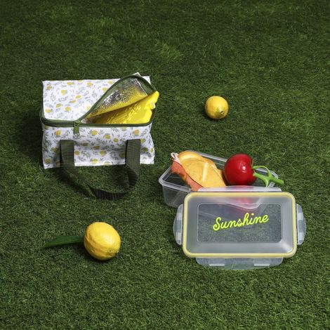 Lunch Box Sac Fraicheur Pain De Glace 2.6l2 (1/5)