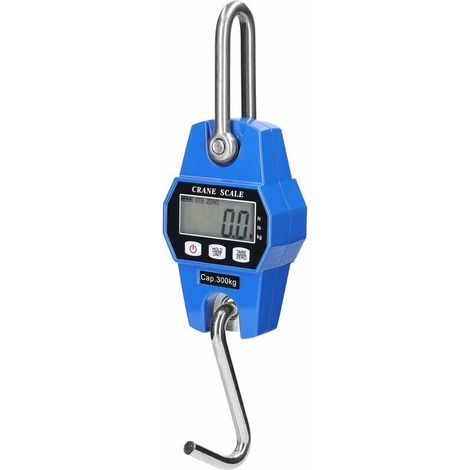 Balance De Levage Lourde Pour Grue A Crochet, 300 Kg, Bleu - Bleu (1/5)