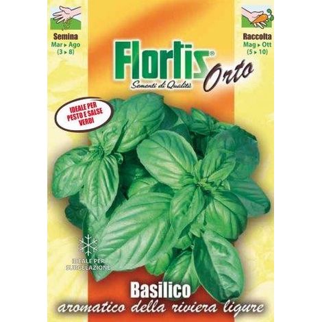 BASILICO AROMATICO LIGURE