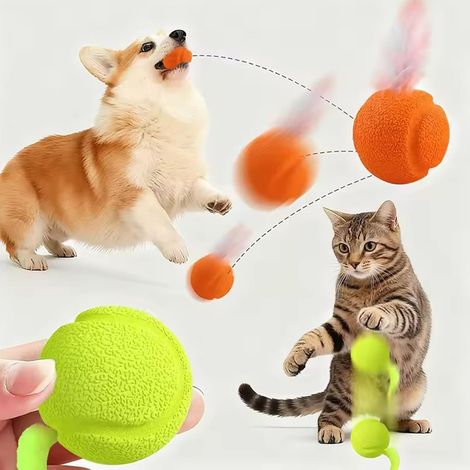Balle interactive pour chat, lot de 2 balles sauteuses, jouet électrique pour chat, bracelet sauteur, simulateur d'appel d'oiseau, balle pour chat (queue courte) orange et verte (1/5)