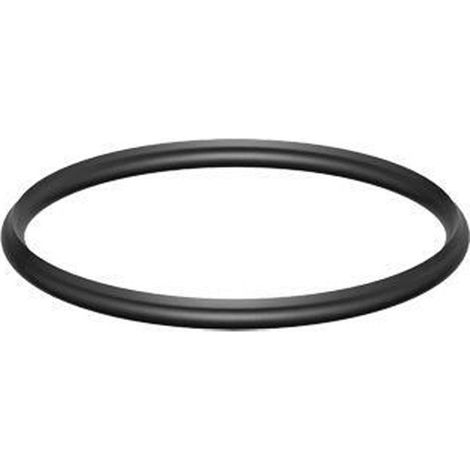 ACO Abdichtring D175/ H10, 5084.90.00