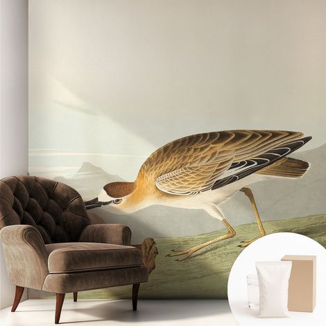 Papier peint intissé mural avec imprimé pour décoration pour salon pour chambre à coucher pour entrée Oiseau des montagnes 250x250 cm (1/5)