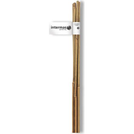 Set di 4 picchetti dritti in bambù NORTENE H.0,9 m NORTENE