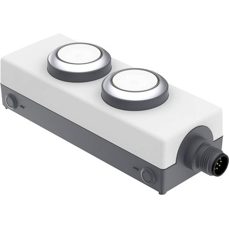 RAFI 1.22.392.392/2200 LDT091 Bouton-poussoir lumineux à rappel 24 V 0.5 A à rappel (L x l x H) 123.2 x 40 x 35.6 mm 1