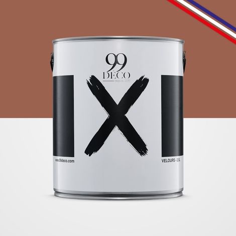 Peinture Mur Velours - Rouge Grès - Interieur - 2,5l (1/5)