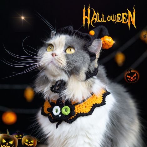 Collier tricoté pour animaux motif chat yeux hétérochromes écharpe Halloween et Noël pour et petit chien taille M 25cm (1/5)