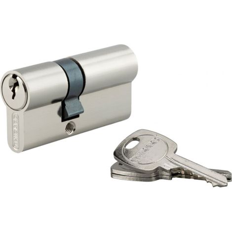 Cylindre de serrure 25x40mm – Protection anti-arrachement – 3 clés fournies – Pour portes de cabanon – Nickel (1/4)