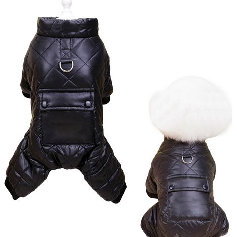 Combinaison De Neige Pour Chien - Imperméable Et Coupe-Vent Avec Doublure Polaire - Pour Petits Chiens En Hiver - Taille Unique (1/5)