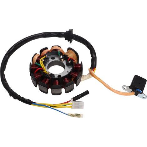 Le faisceau de câbles applicable à la prise comprend : 3 fils jaunes, 1 fil vert se connectant à l’ensemble magnéto du stator, et deux fils supplémentaires, rouge/noir et bleu/blanc, pour la bobine d’ (1/2)
