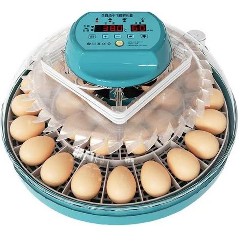 Incubatrice per uova Hethya, incubatrice intelligente per uova di gallina con controllo automatico dell'umidità e rotazione delle uova, controllo della temperatura, incubatrice da 30 uova per uova da (1/5)