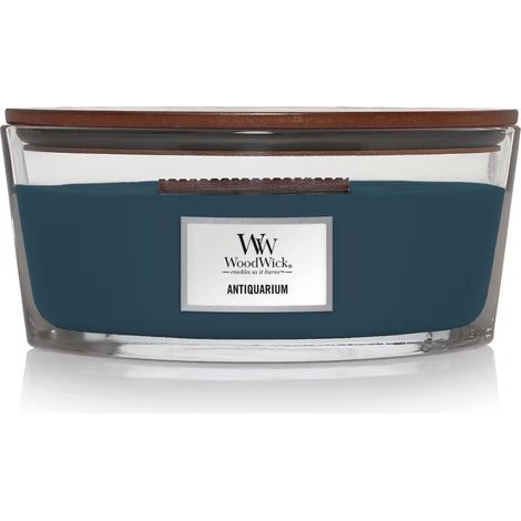 CANDELA ELLIPSE ANTIQUARIUM - WOODWICK