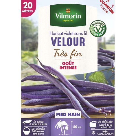 Vilmorin – Haricot nain violet velour – Graines de potager – Exposition ensoleillée – Semis de mars à juin – Récolte de juillet à septembre