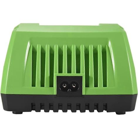 BelleRise - Chargeur de batterie au lithium 40 V pour batterie Li-ion 40 V GreenWorks (prise UE) (1/5)
