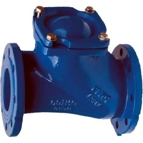 Valvola Di Ritegno Ghisa Pn16 Dn65