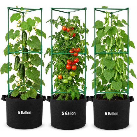 Tomato Cages with Felt Grow Bags, Pack of 3, Capacity 19 L, Modular Stakes up to 63 mm, for Tomatoes, Cucumbers, Beans and Peas (1/5)