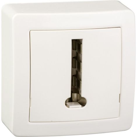 Prise téléphone en T Alréa 8 plots complète en saillie blanc (ALB62366)