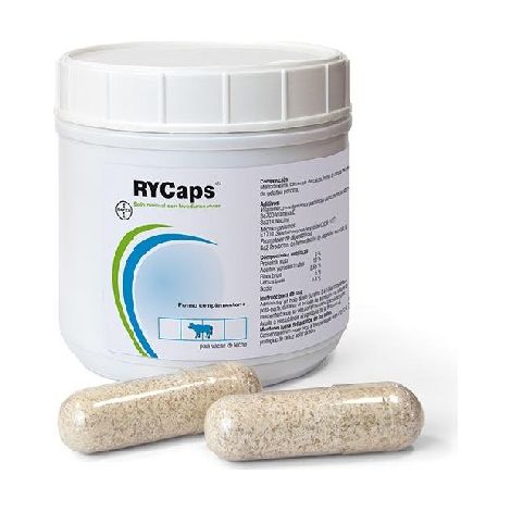 Bayer Rycaps Rumie Bolus avec levures vivantes, 500gr (25 bolus x 20 gr)