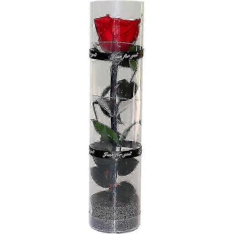 JIAJIEFANG Une véritable rose préservée, rose éternelle, rose durable, rose à floraison éternelle - Bonne (1/5)