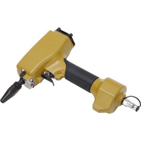 Machine à arracher les clous pneumatique, riveteuse et poinçonneuse pour tôles de fer (1/5)