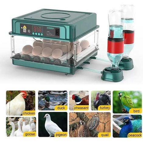 Incubateur automatique pour œufs de poule, de canard et d'oie, pour l'incubation à domicile et l'élevage de volailles contrôlé.-AquaForge (1/4)