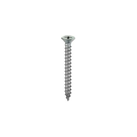 Viti autofilettanti testa piana svasata Inox 4,8 x 32 - 10 pz.