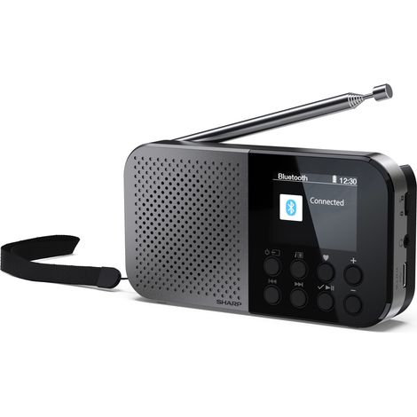 SHARP DR-P520(GY) Osaka Pocket Digital Radio, Dab+, Dab and FM with RDS, BT 5.3, 2" Color Display, USB-C Power or Built-in Lithium Battery, Built-in Speaker, Mini Jack, Key Lock
