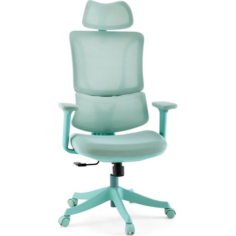 Bürostuhl / Drehstuhl Ergomy Colore 3D Netzstoff / Sitz Stoff mint mybuero (1/5)